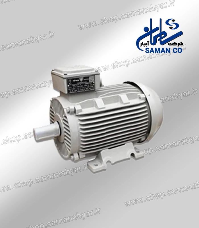 filename الکتروموتورهای سه فاز با بدنه چدنی