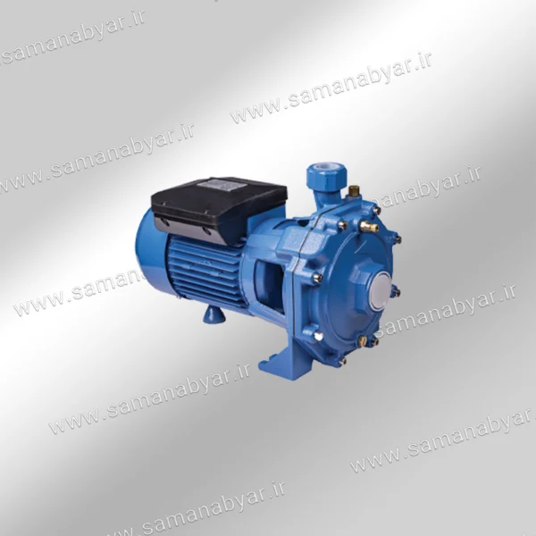 پمپ بشقابی دو پروانه 1.5 اسب ویتو مدل 25/140 2CV