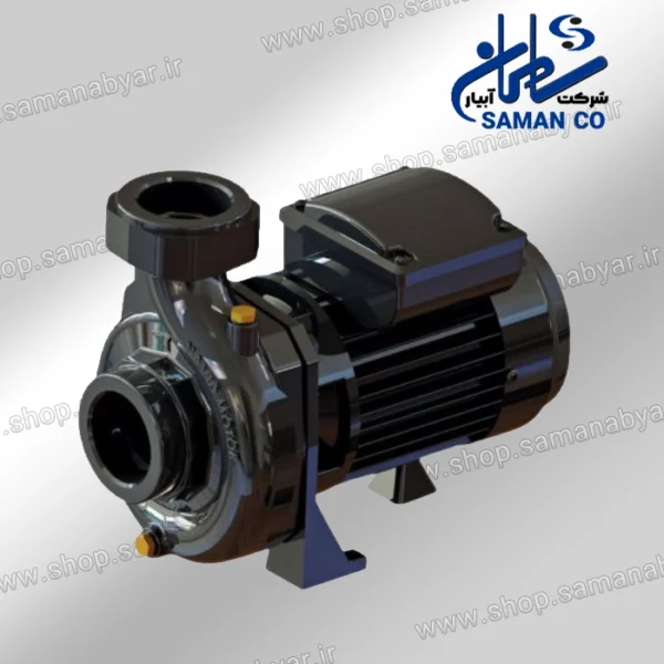 الکتروپمپ باغی CS100/2